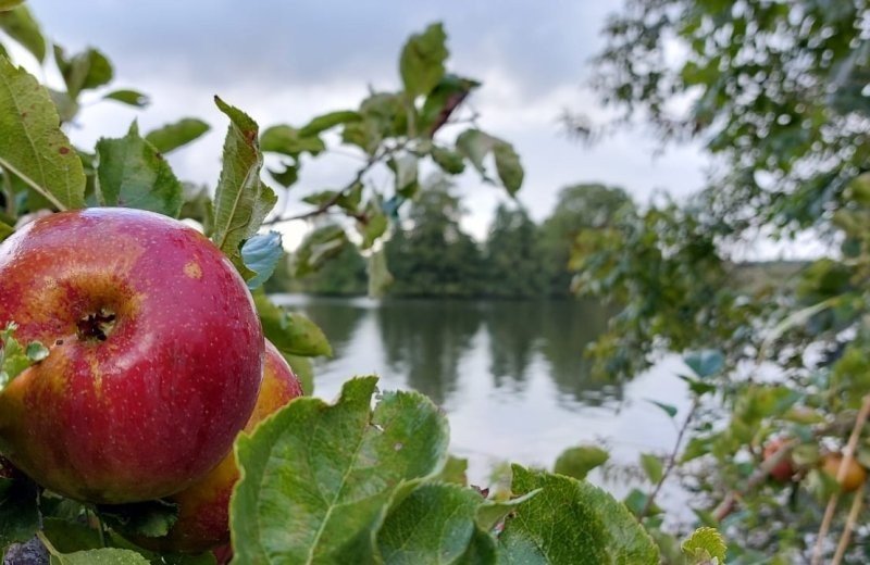 20221001 rode appel wiel van bassa