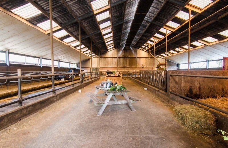 Bijkuiperwijngaarden006actiefcover 68b02e62192e5