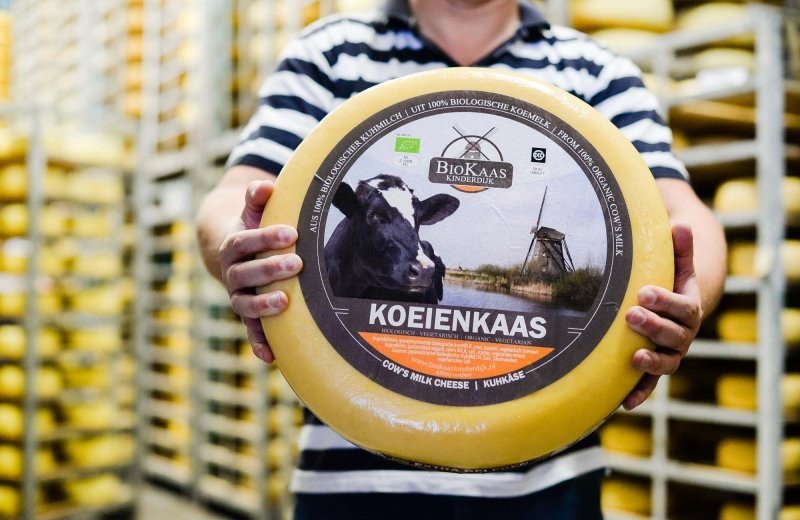 Biokaas Kinderdijk