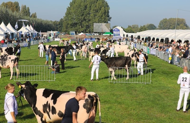 Fokveedag rick den besten