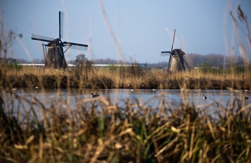 Herfst in de Alblasserwaard