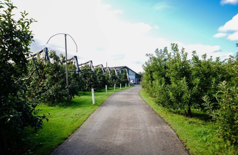 Fruitbedrijf Van der Ham