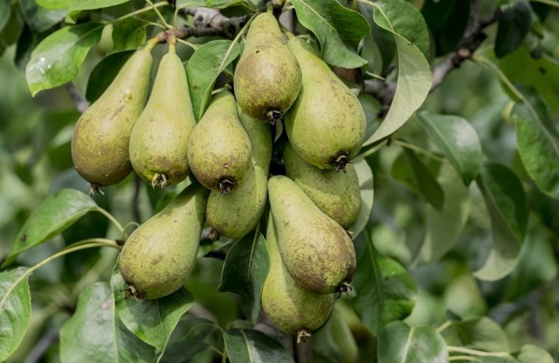 Received 937195600446921