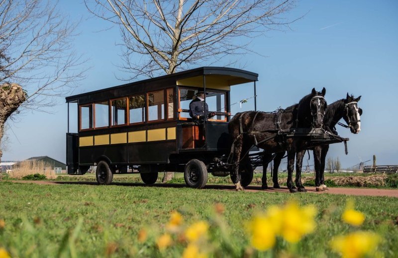 Verdoorn Gelegenheidskoetsen